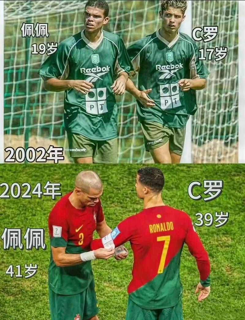 致追求