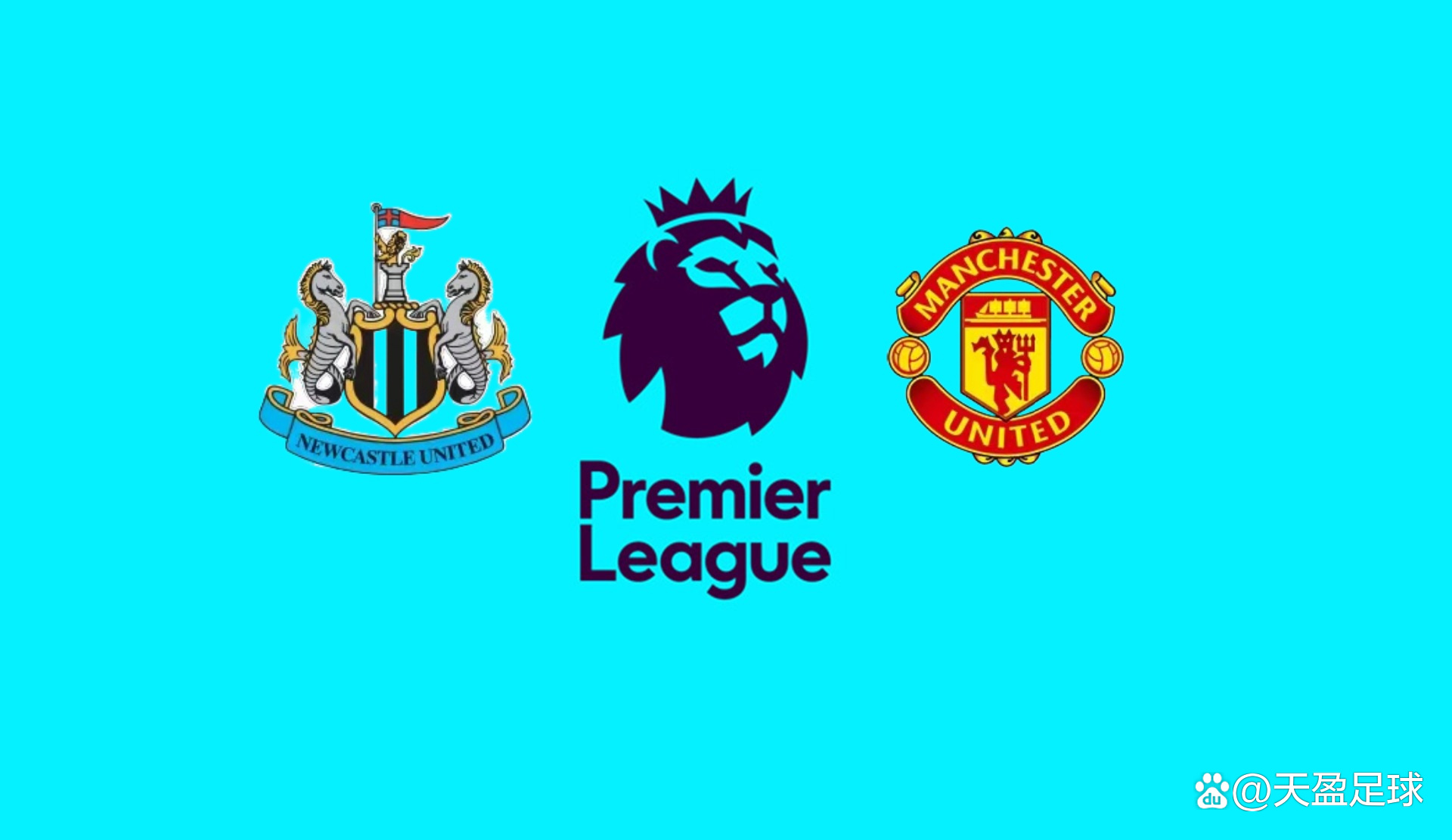 到背上的龟 到背上的龟