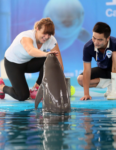 在篮球比赛 在篮球比赛