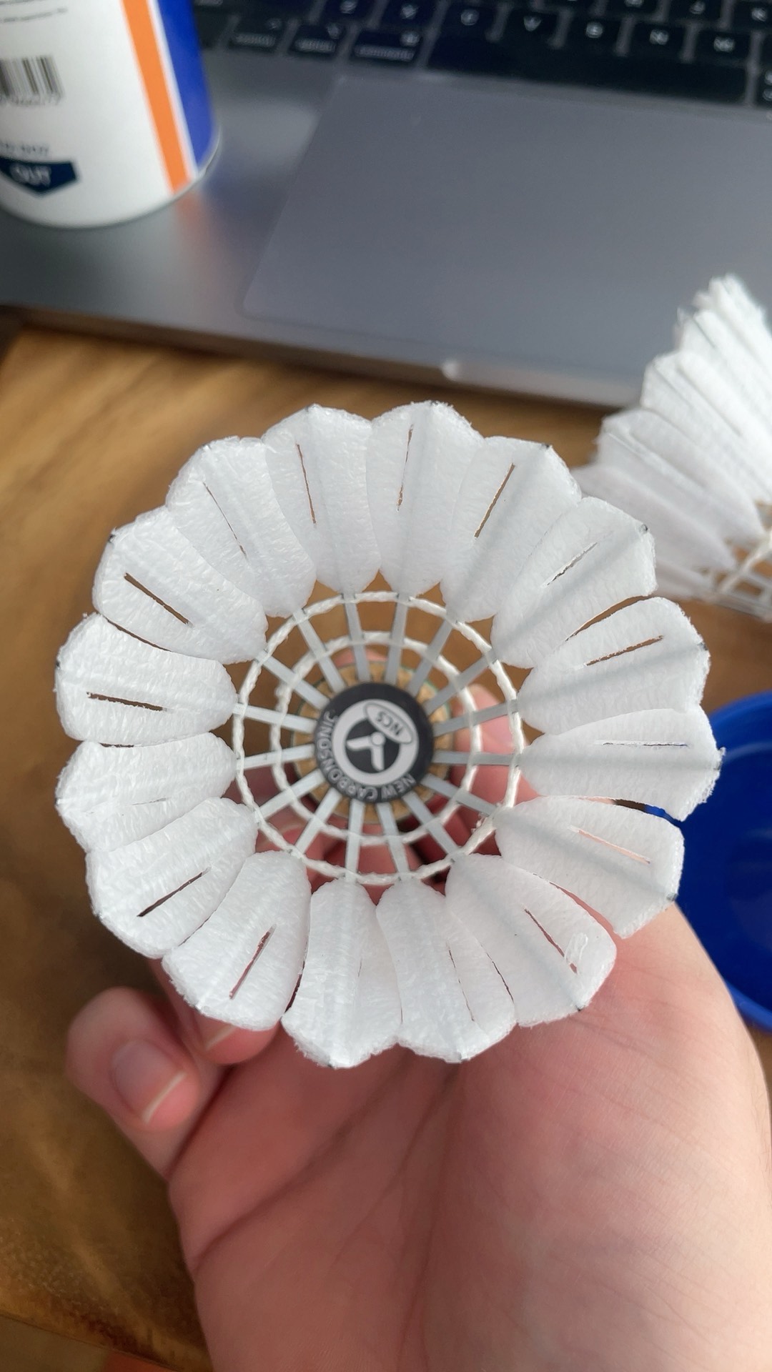 不仅让观众 不仅让观众